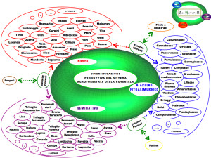 02Manuale roverella.net.032